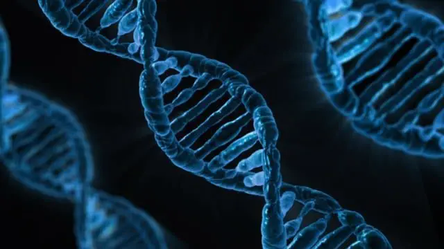 Bioelectronic Medicine